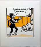 Korky The Cat Fights A Normal Cat